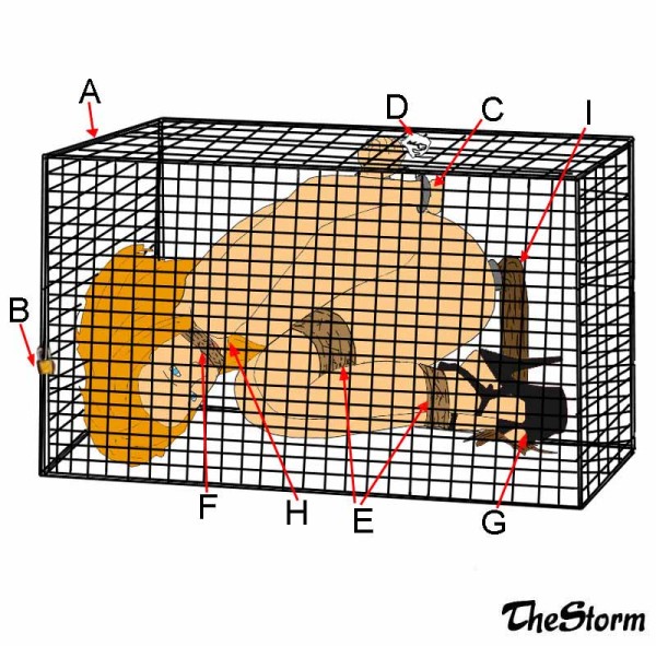 Self Bondage Cage