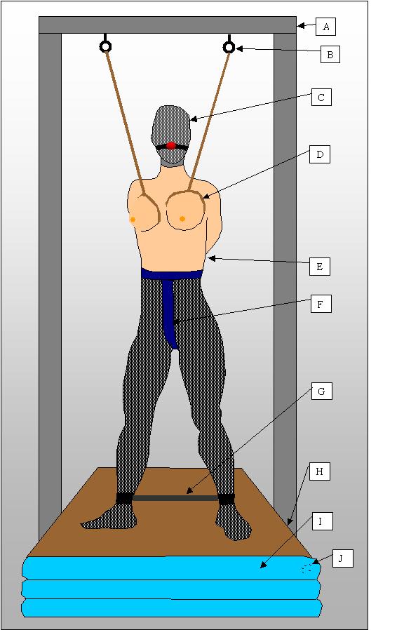 Predicament Bondage Diagrams